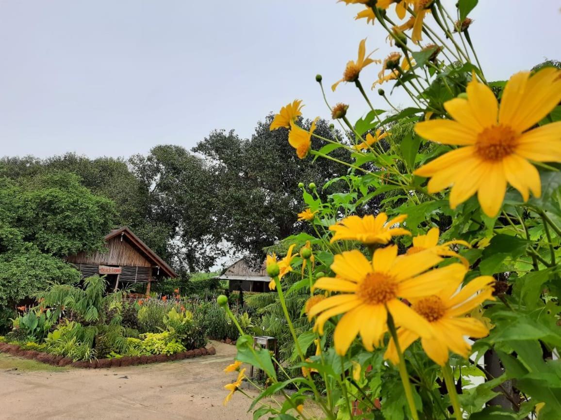 Beach Lagoon Parans Hotell Arugam Kudah Eksteriør bilde