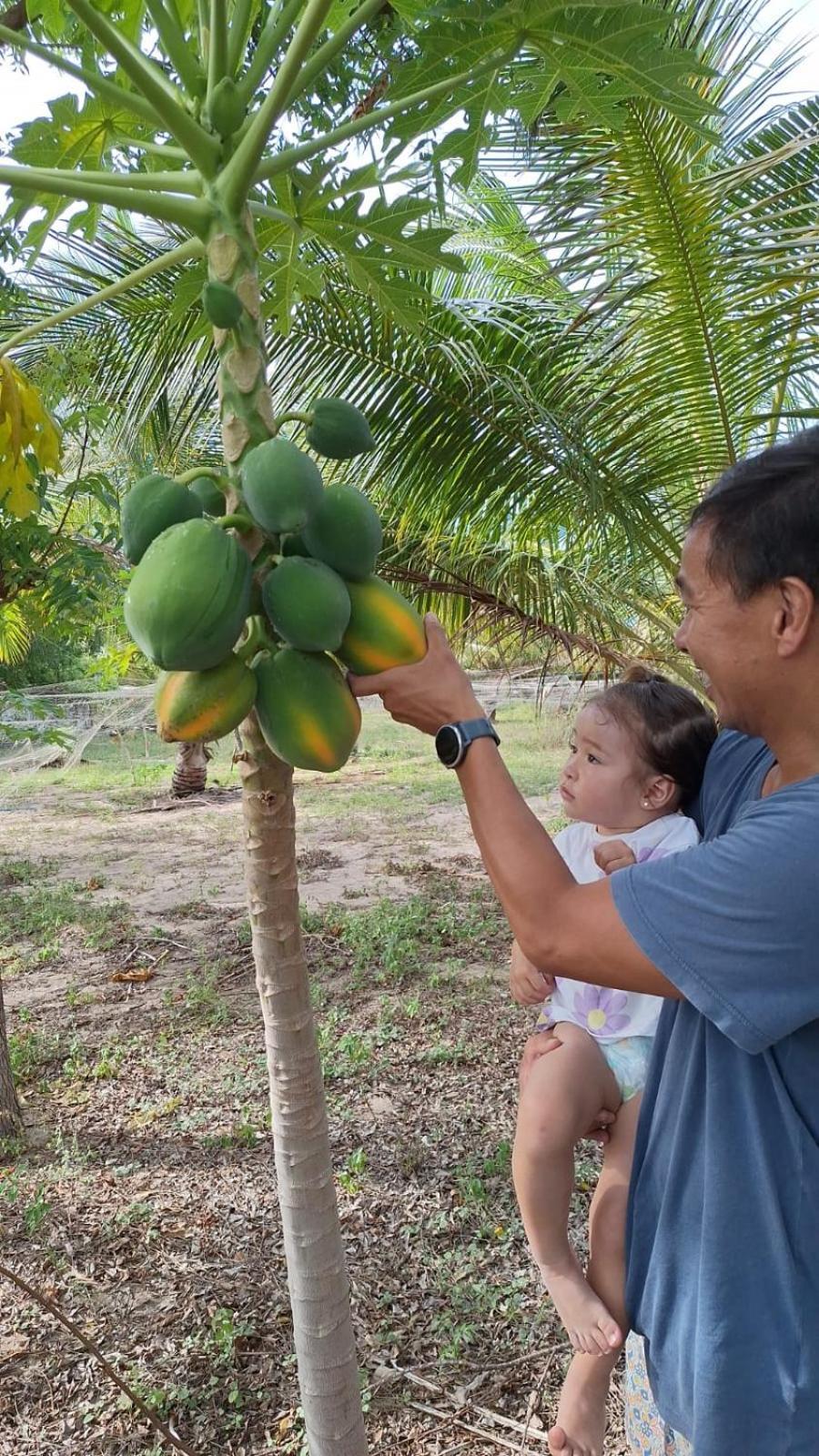Beach Lagoon Parans Hotell Arugam Kudah Eksteriør bilde