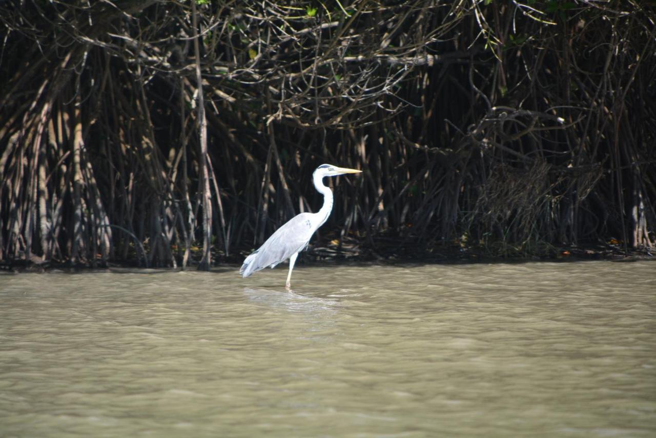 Beach Lagoon Parans Hotell Arugam Kudah Eksteriør bilde