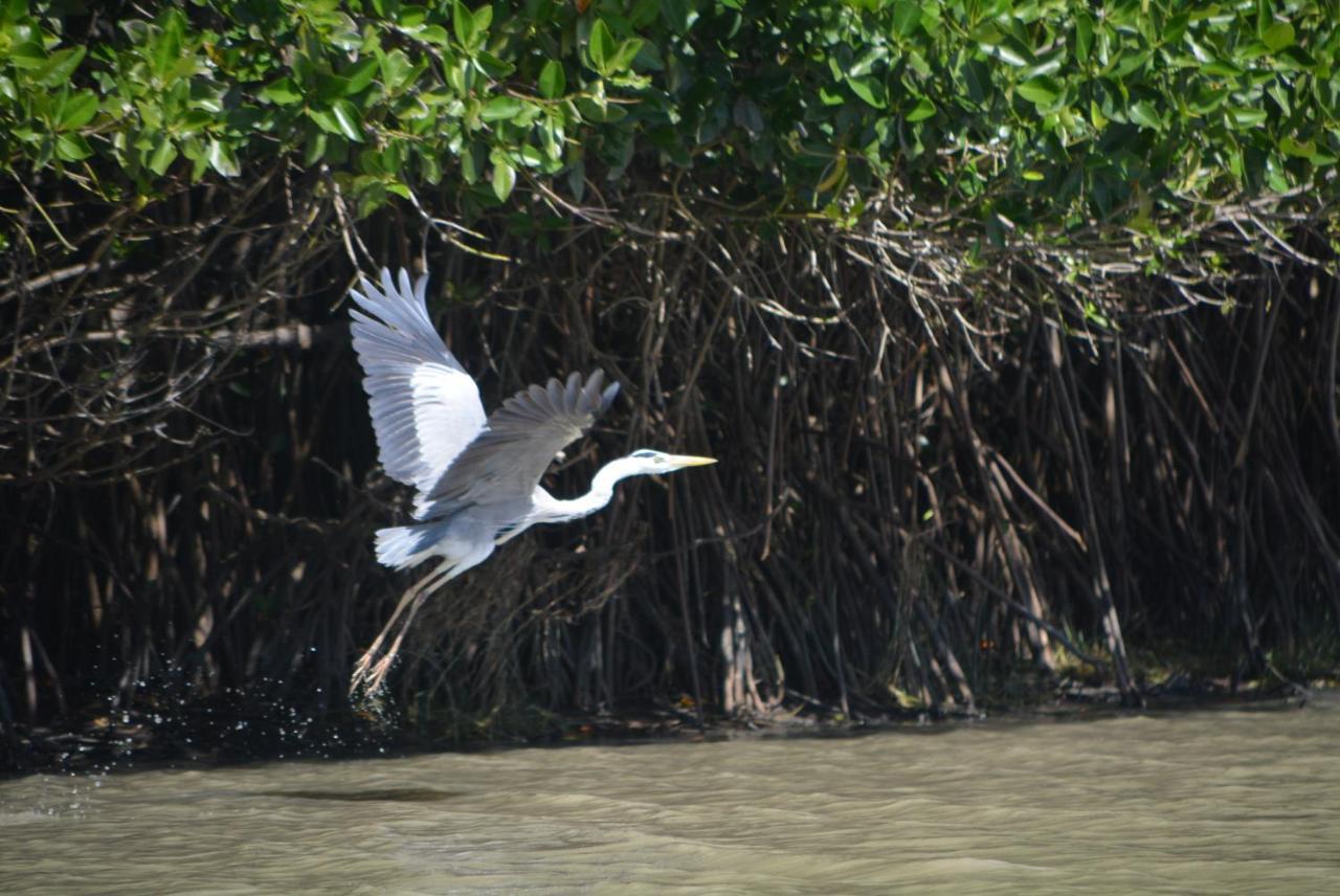 Beach Lagoon Parans Hotell Arugam Kudah Eksteriør bilde