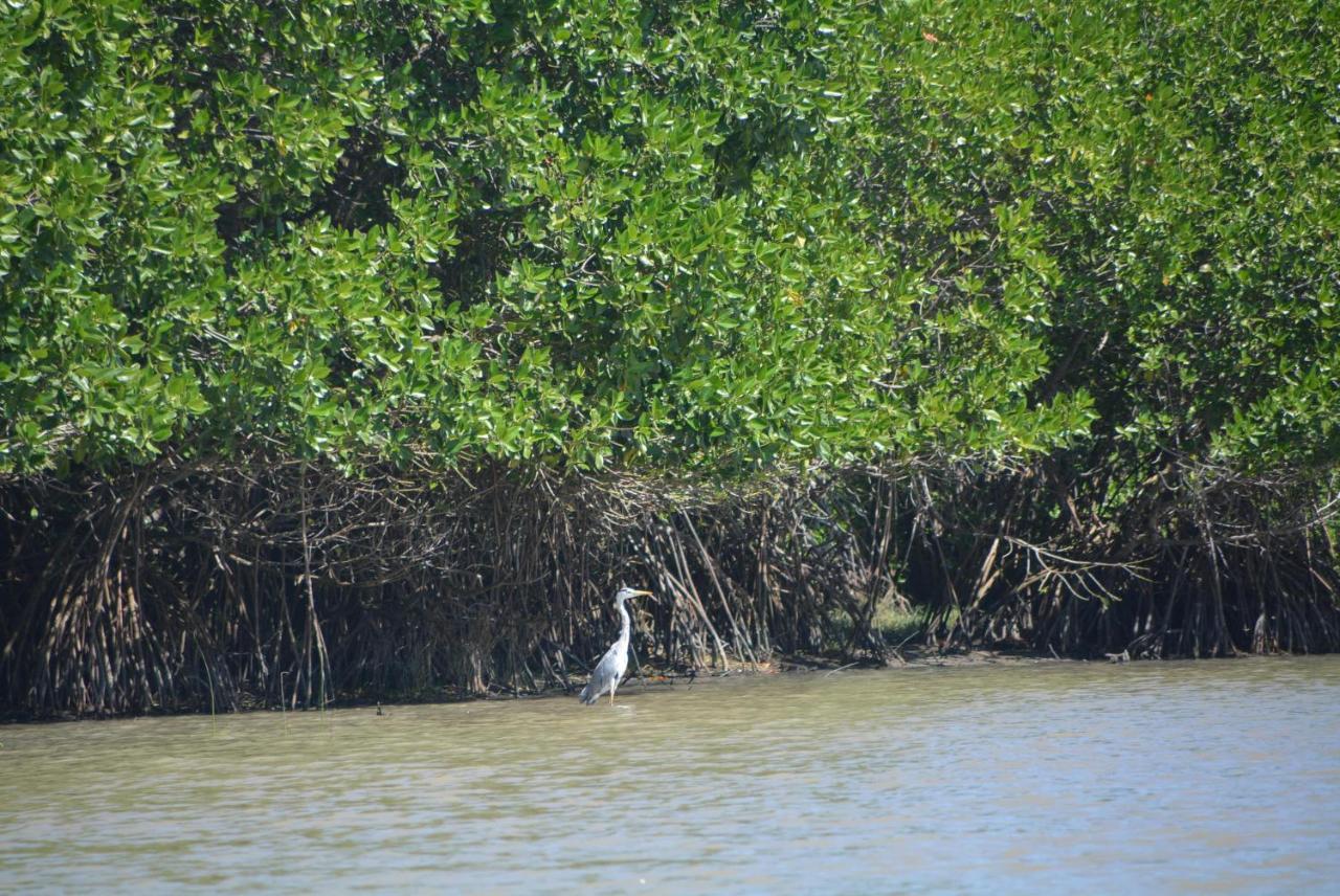 Beach Lagoon Parans Hotell Arugam Kudah Eksteriør bilde