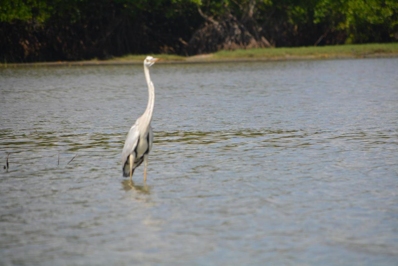 Beach Lagoon Parans Hotell Arugam Kudah Eksteriør bilde